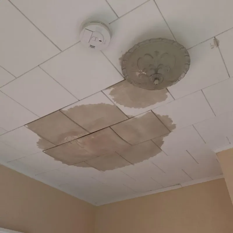 Ceiling Water Damage Repair in Mebane, NC