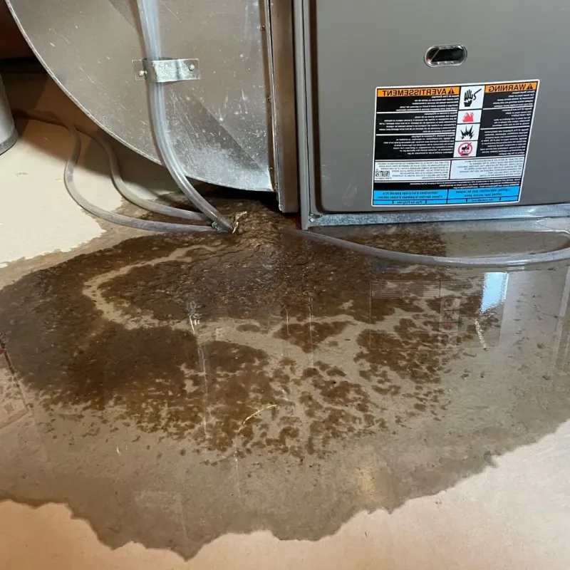 Pipe Burst and Leak Restoration in Mebane, NC