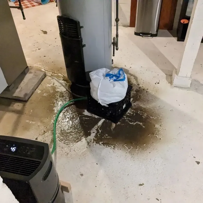 Sewage Backup Cleanup Service in Mebane, NC